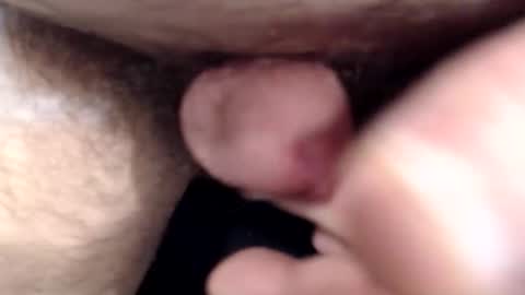 bobswan online show from 03.15.26