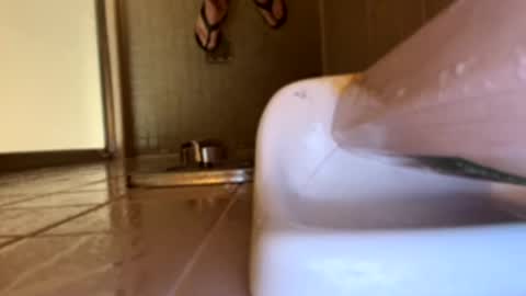 Swingingdong online show from 03.21.26