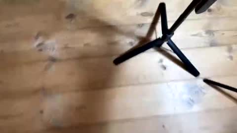 Nail and Olivia online show from 12.04.25