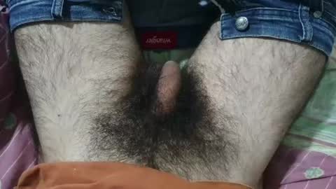 Snapshot of bomvemcam chatting on 05.29.26 Im Bom - Tip if You Liked my Hairy Body - Private Show is Open - Read more about me in the bio below online show from 05.29.26