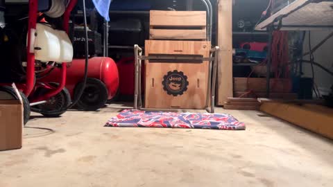 FRECKLES online show from 02.20.25