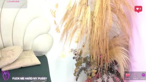 bonieklent online show from 02.03.26