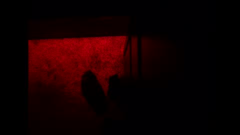 bonny8723 online show from 11.03.25