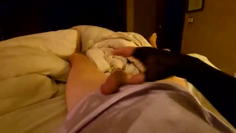 Snapshot of bono0155 chatting on 04.06.26 silky sissy sarah online show from 04.06.26