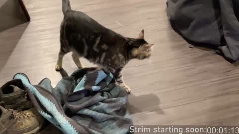 Booker Baxton online show from 12.28.24