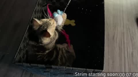 Booker Baxton online show from 01.03.25