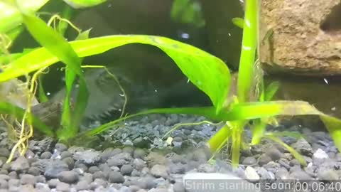 Booker Baxton online show from 01.14.25