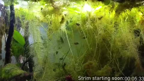 Booker Baxton online show from 02.04.25