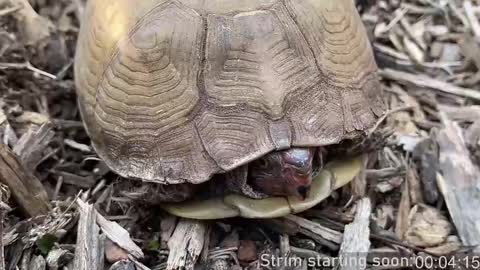 Booker Baxton online show from 03.09.25