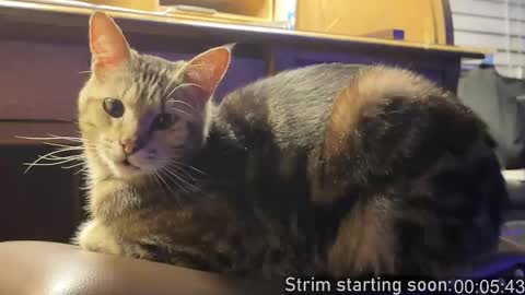 Booker Baxton online show from 02.05.26