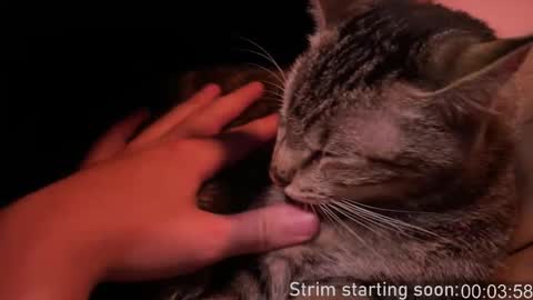 Snapshot of booker_baxton chatting on 02.12.26 Booker Baxton online show from 02.12.26