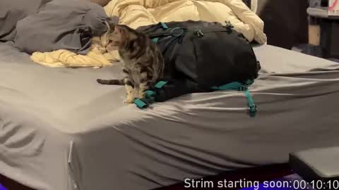 Snapshot of booker_baxton chatting on 02.25.26 Booker Baxton online show from 02.25.26