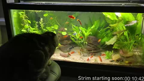 Booker Baxton online show from 03.18.26