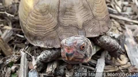 Booker Baxton online show from 04.01.26