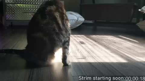 Booker Baxton online show from 04.21.26