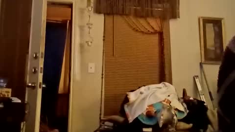 Snapshot of boredaf6678 chatting on 11.22.25 boredaf6678 online show from 11.22.25