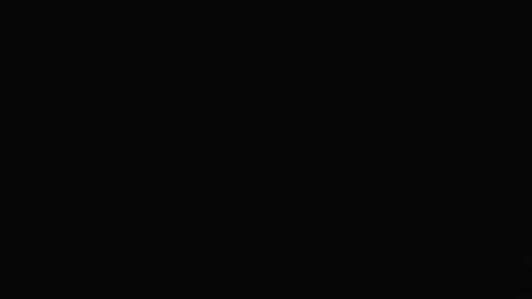 bossram160 online show from 02.05.25