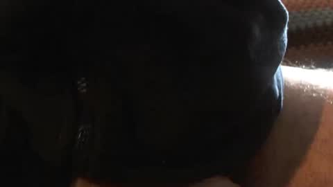 bossram160 online show from 03.06.25