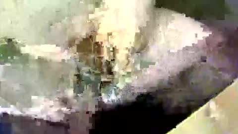 bossram160 online show from 09.17.25