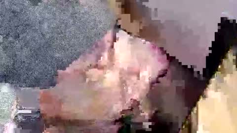 bossram160 online show from 09.27.25