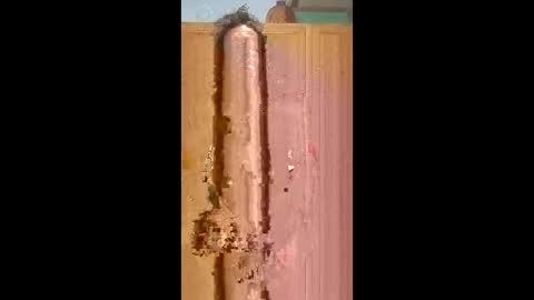 bossusaround online show from 02.09.26