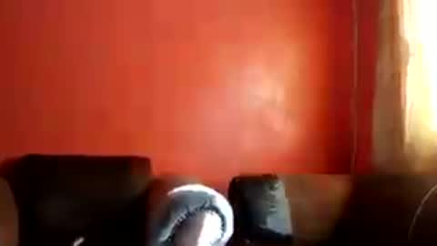 botsougaba online show from 07.27.26
