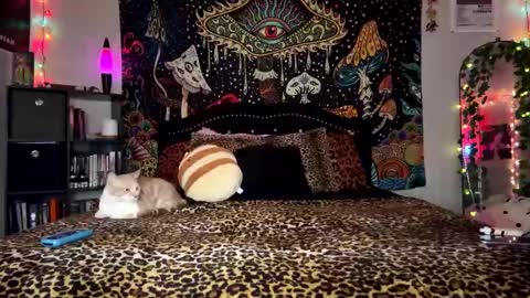 Snapshot of boysdroollx chatting on 12.28.24 Puddin online show from 12.28.24