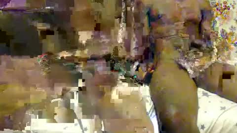 daniel alex online show from 03.11.25