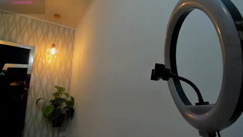 brad summer online show from 01.12.26