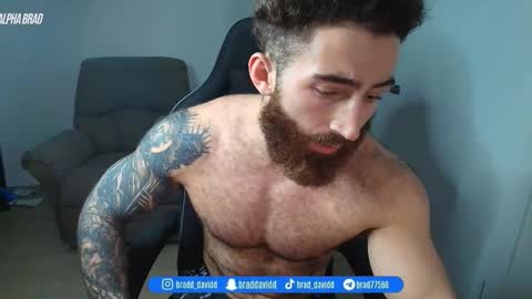 Snapshot of bradtrainn chatting on 05.17.26 bradtrainn online show from 05.17.26