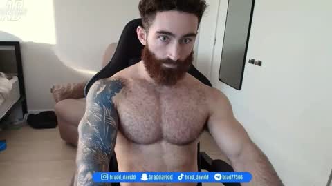 Snapshot of bradtrainn chatting on 05.17.26 bradtrainn online show from 05.17.26