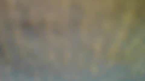 Snapshot of bradynoggle chatting on 02.12.25 bradynoggle online show from 02.12.25