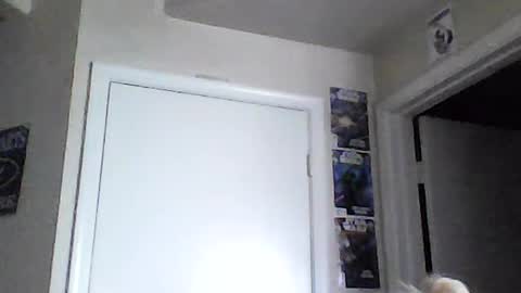 Snapshot of braindeadbetty chatting on 06.15.26 i am a naughty jedi knight online show from 06.15.26