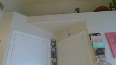 Snapshot of braindeadbetty chatting on 07.29.26 i am a naughty jedi knight online show from 07.29.26