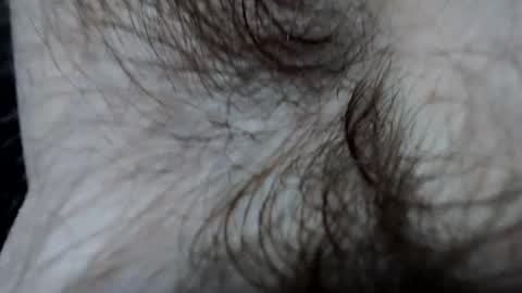 branflakes_ online show from 02.21.25