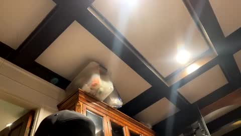 Snapshot of bravo323 chatting on 10.02.25 bravo323 online show from 10.02.25