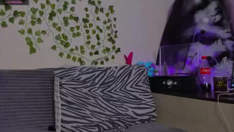 Johny Bravo online show from 01.13.26