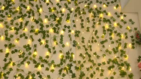 Brenda online show from 01.05.25