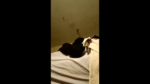 bricks4u online show from 04.18.26