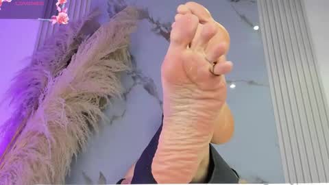    online show from 02.27.26