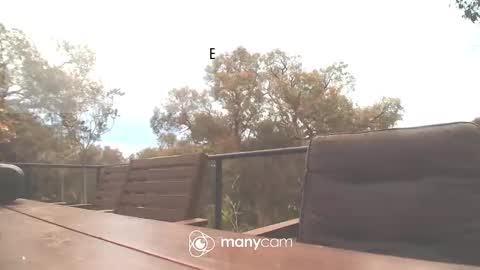 Fun Monster online show from 10.16.25