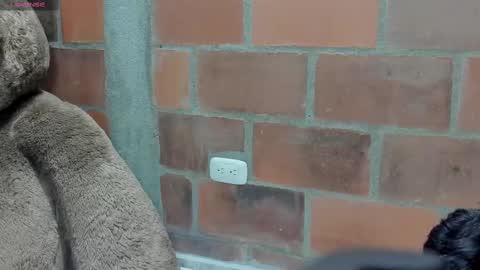 Briana69 online show from 03.06.25