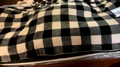 Snapshot of brownbootie1 chatting on 01.07.25 brownbootie1 online show from 01.07.25