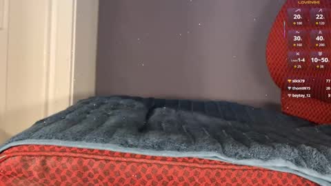 Snapshot of brsrk chatting on 01.08.26 Brsrkr online show from 01.08.26