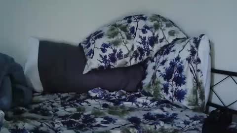 Bruc12168 fit slim new makemecum bigdick edging online show from 02.20.25