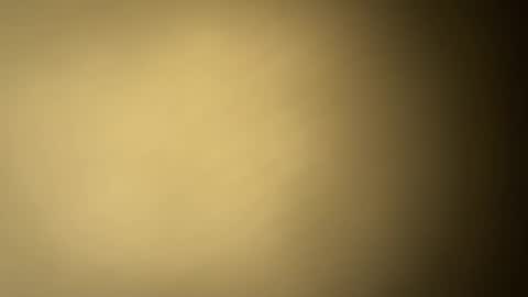 BRUCE online show from 01.30.25