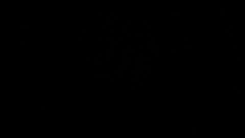 BRUCE online show from 05.31.26