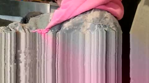 Snapshot of brushsquach chatting on 03.11.26 Steve... aka SkinnieDippin aka TimberTramp online show from 03.11.26