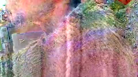 Snapshot of brushsquach chatting on 04.02.26 Steve... aka SkinnieDippin aka TimberTramp online show from 04.02.26