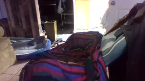 Snapshot of brutal3anddone chatting on 10.16.25 brutal3anddone online show from 10.16.25